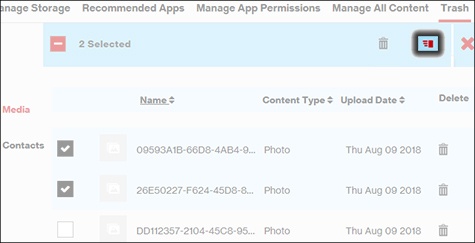 Click Restore icon