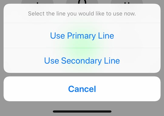 Apple iPhone - Dual SIM with an eSIM - Change Line Before Calling 