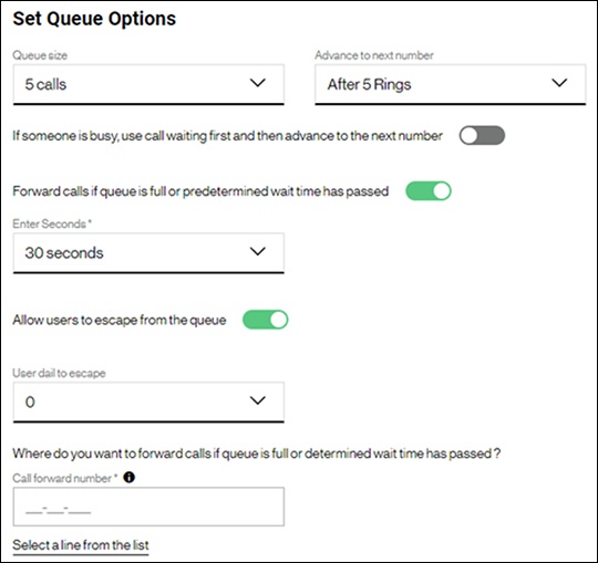 Set Queue Options
