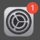 Settings notification badge
