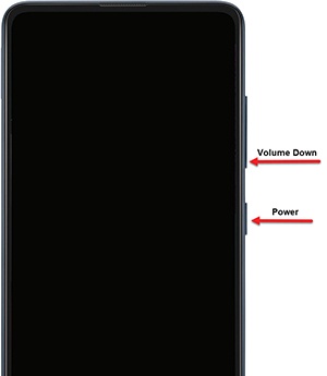 Power and Volume down buttons