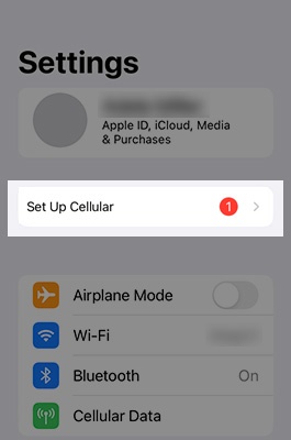 iPad Cellular Activation