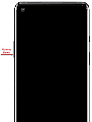 Volume down button