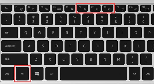 Fn and volume buttons