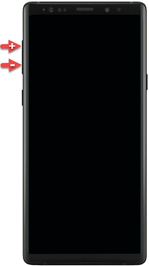 Volume buttons