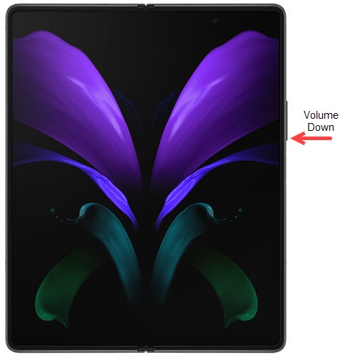 Volume down button