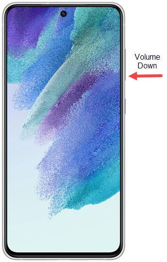 Volume down button