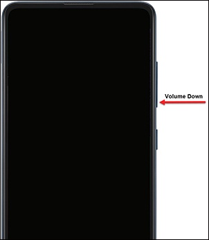 Volume down button
