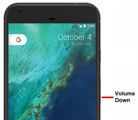 Volume down button