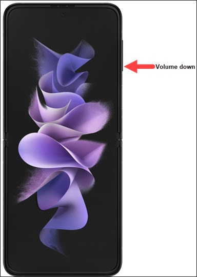 Volume down button