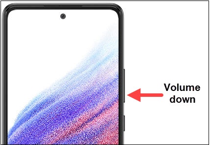 Volume down button