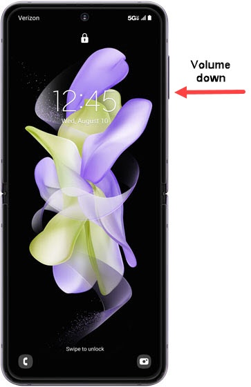 Volume down button