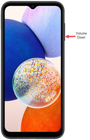 Volume down button