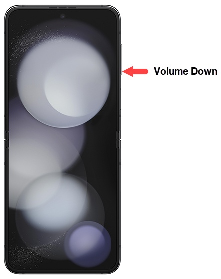 Volume down button