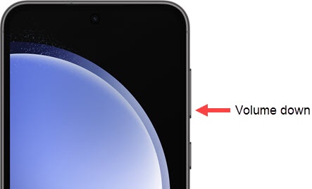 Volume down button