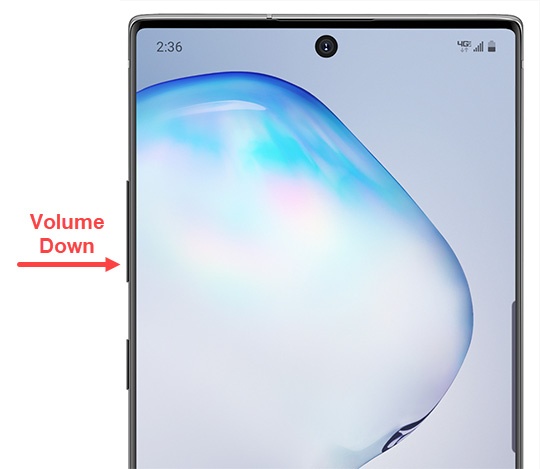 Volume down button