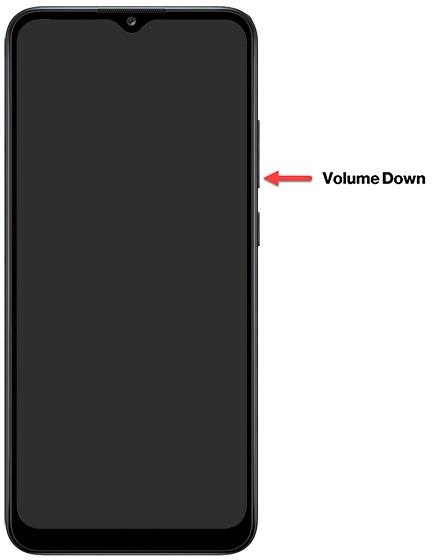 Volume down button