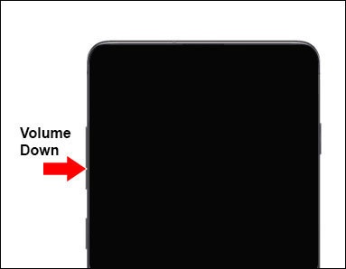 Volume down button