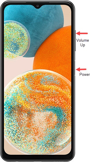 Power and Volume Up buttons