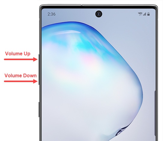 Volume buttons