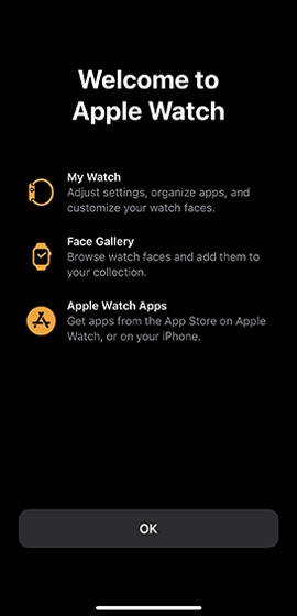 Open Watch app