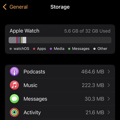 Apple watch 2024 storage size