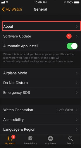 Apple watch software online update