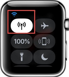 Phone icon best sale on apple watch