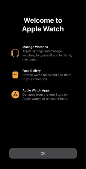 Apple Watch Set Up in Standalone Mode Set Up for a Family